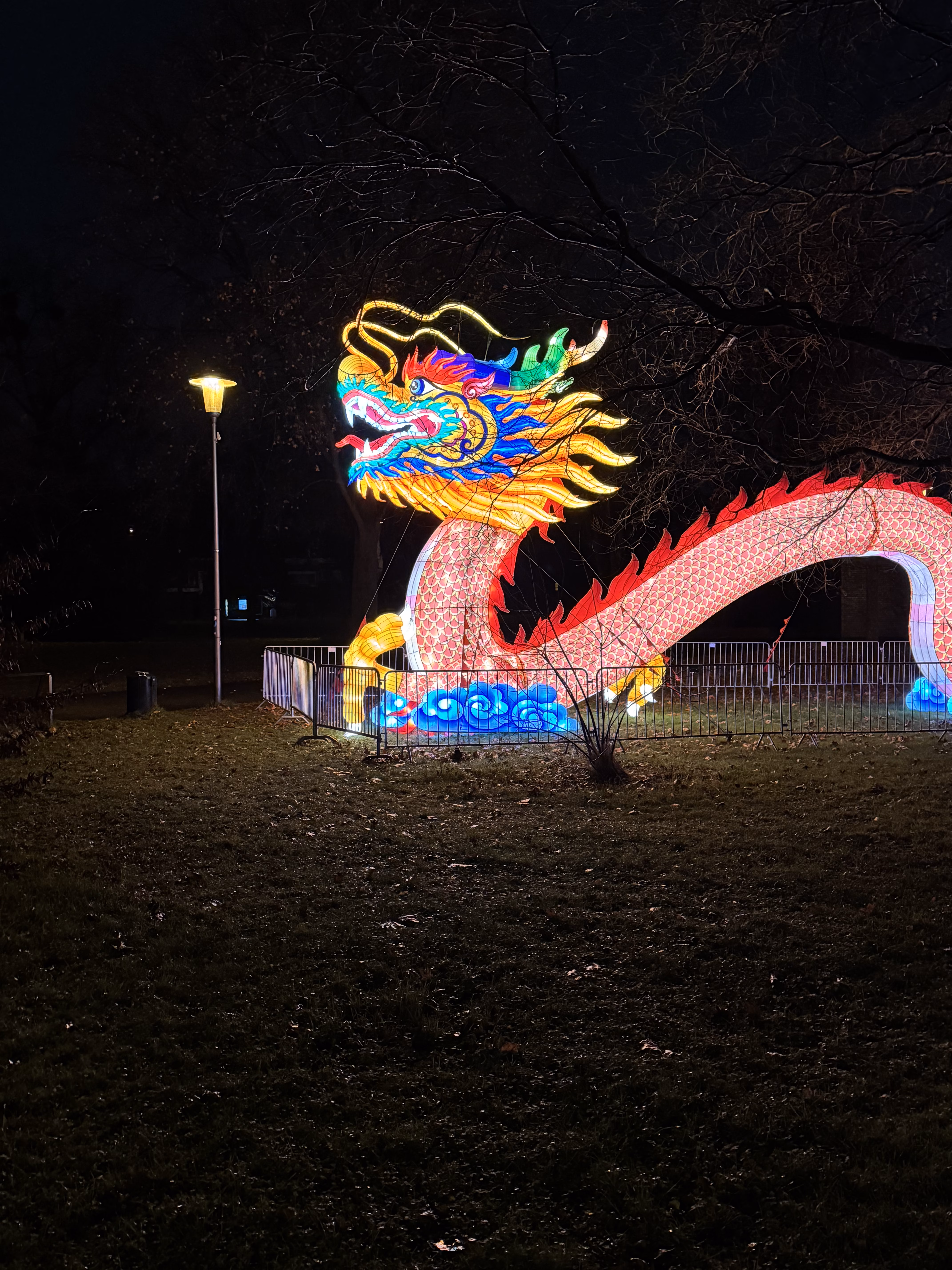 Colorful glowing chinese dragon sculpture at night